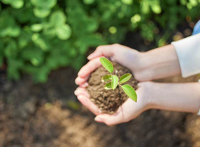 �������ǲ�(�й���)�ٷ���վ